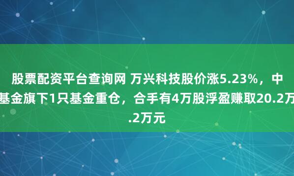股票配资平台查询网 万兴科技股价涨5.23%，中邮基金旗下1只基金重仓，合手有4万股浮盈赚取20.2万元