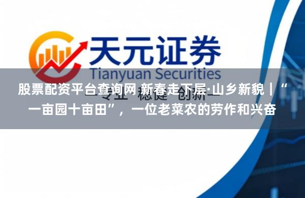 股票配资平台查询网 新春走下层·山乡新貌｜“一亩园十亩田”，一位老菜农的劳作和兴奋