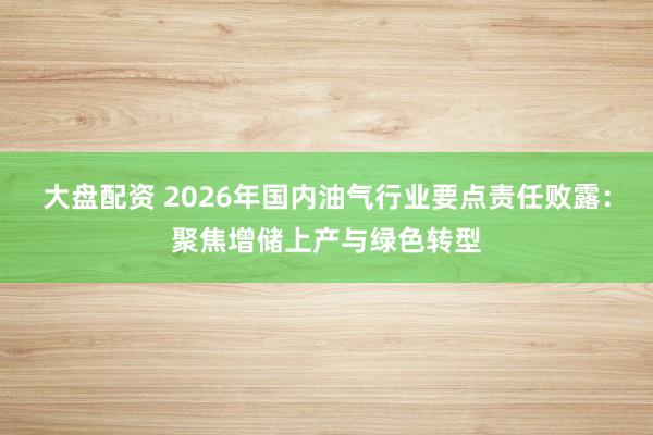 大盘配资 2026年国内油气行业要点责任败露：聚焦增储上产与绿色转型