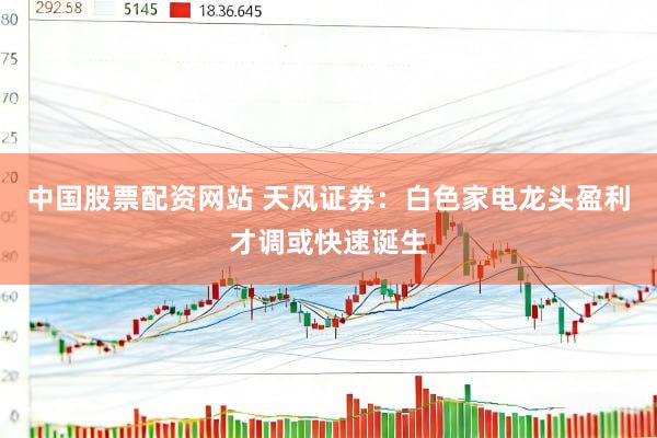 中国股票配资网站 天风证券：白色家电龙头盈利才调或快速诞生