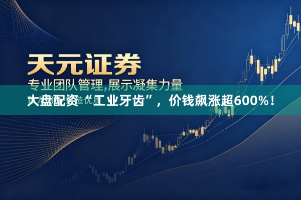 大盘配资 “工业牙齿”，价钱飙涨超600%！